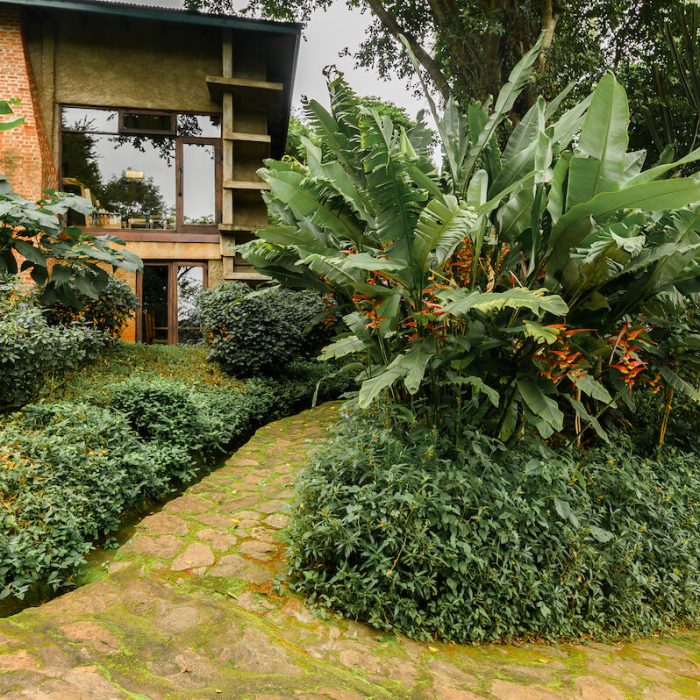 Accommodations garden