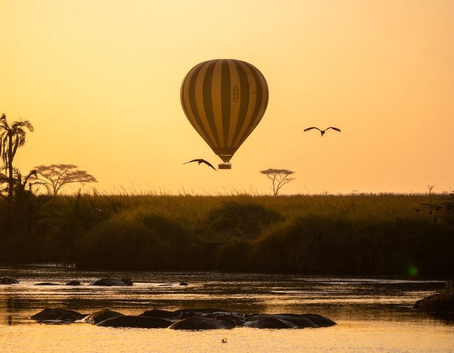 serengeti